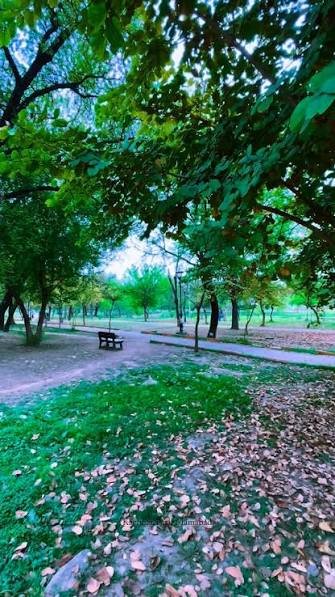 Kachnar Park Sector I-8 Islamabad