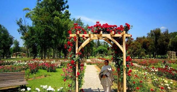 Rose and Jasmine Garden Islamabad